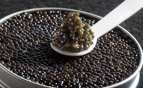 Best of des caviars de Noël, l’excellence gourmande
