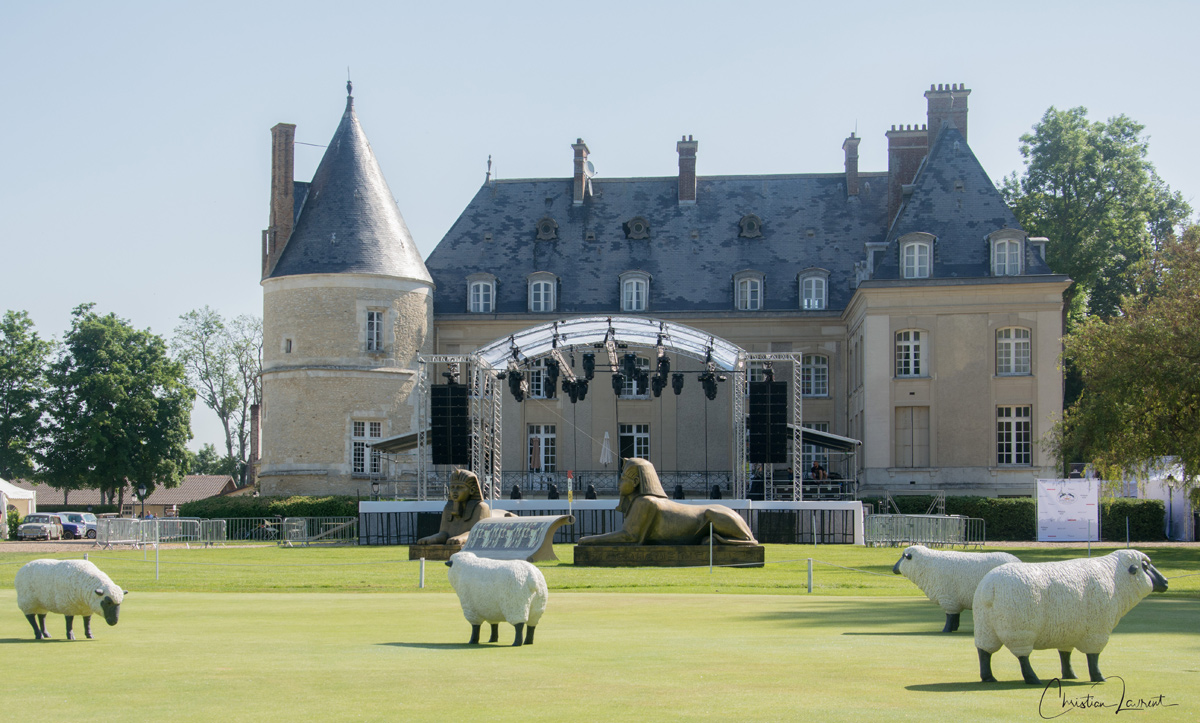 Château de Bertichères pelouse moutons