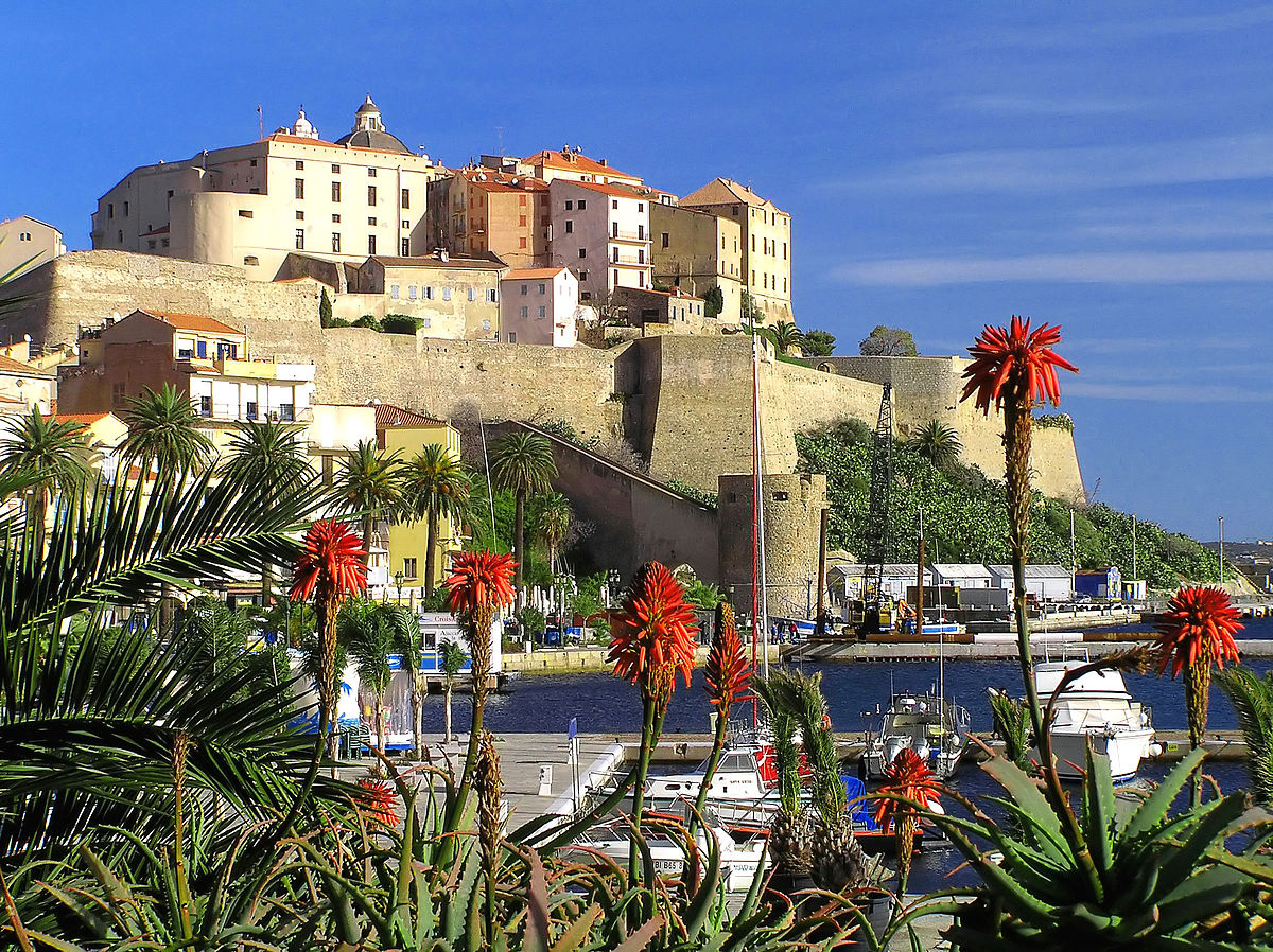 Corse ville de Calvi