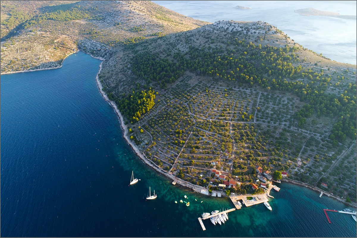 Croatie île de Zut marina