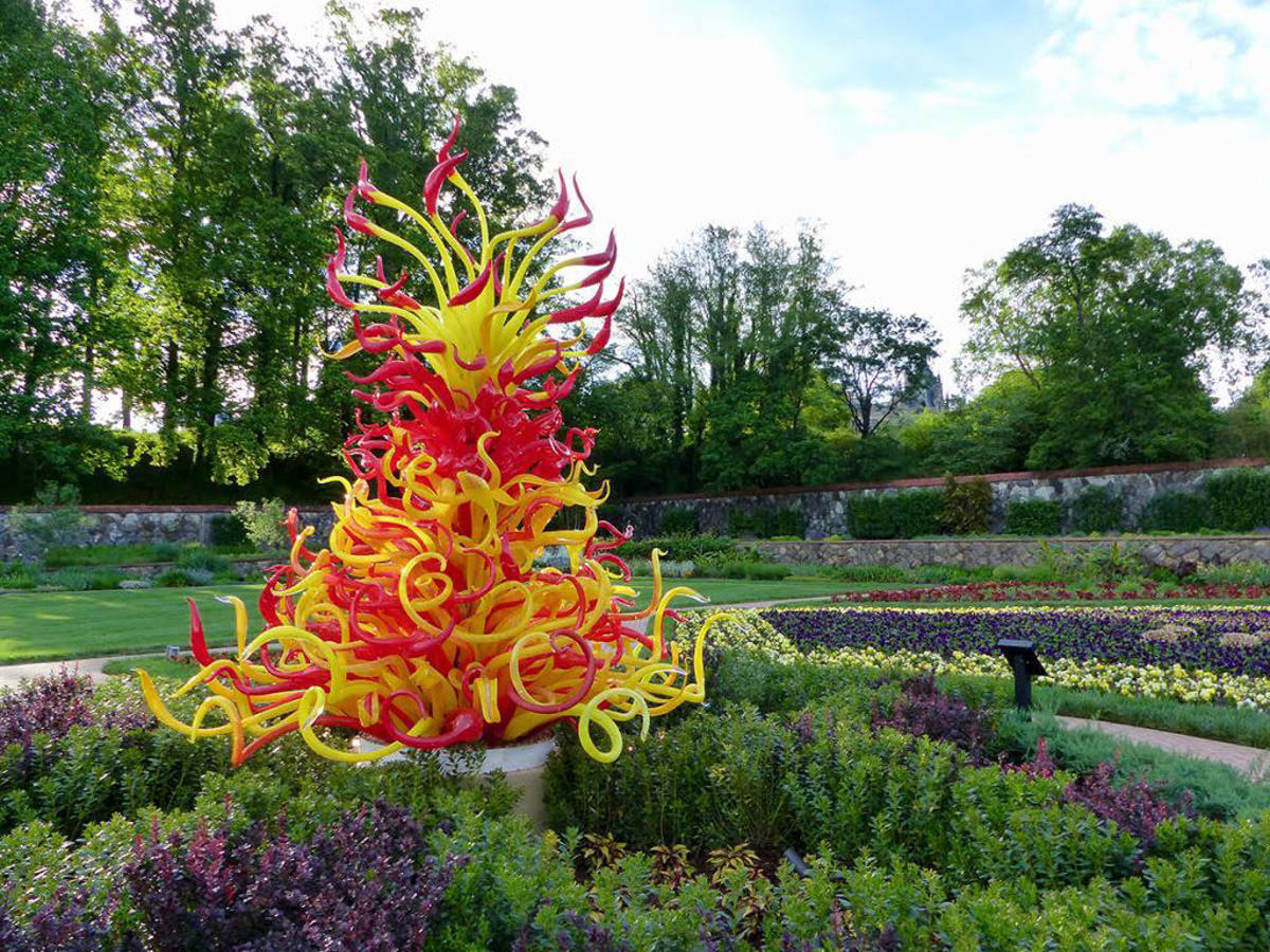  Chihuly exhibition in Biltmore,  Xmas tree