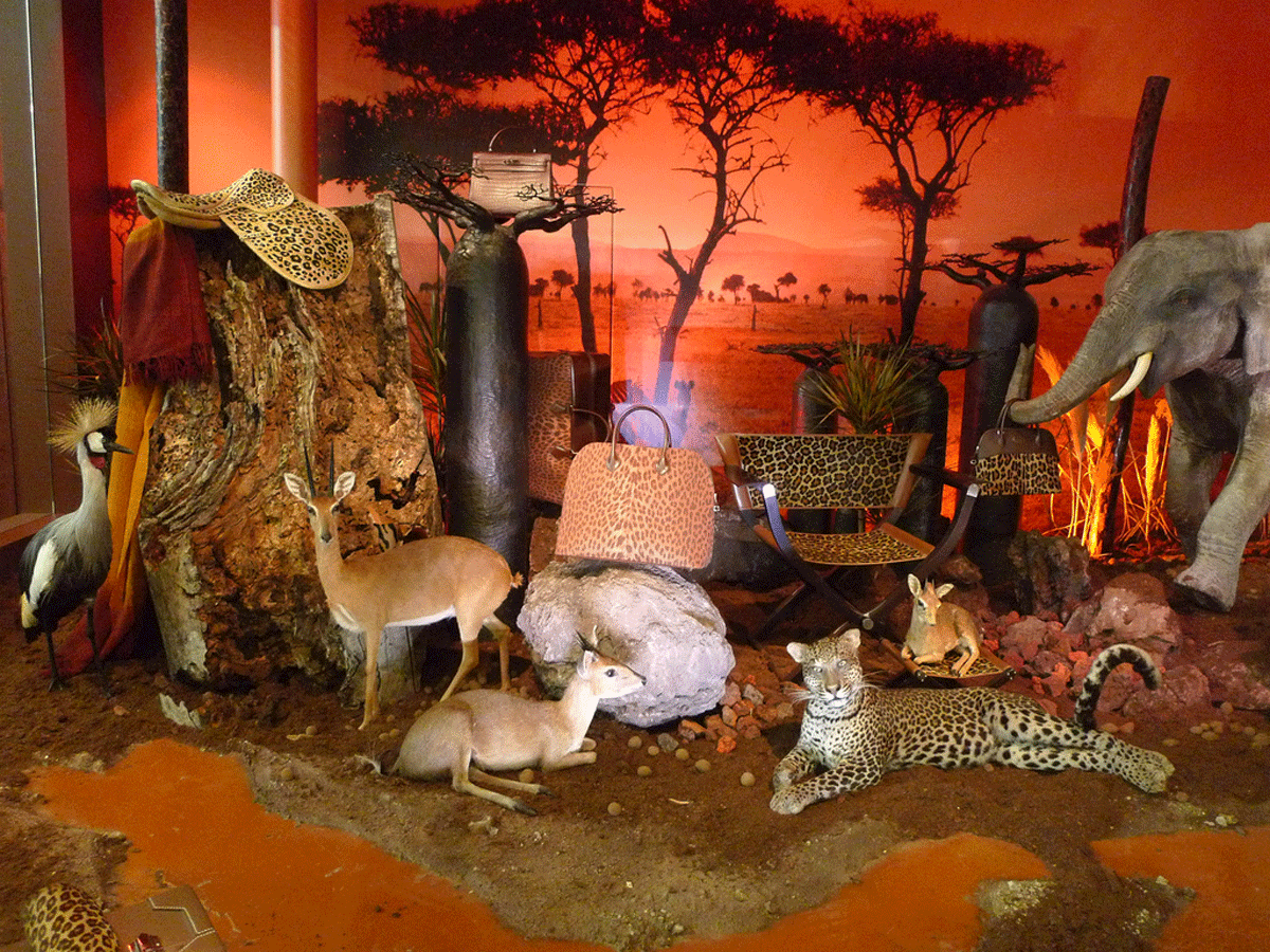 Exposition Hermès - vitrine safari