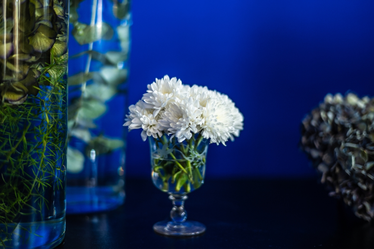 Ressource bouquets de fleurs fond bleu Klein