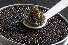 Best of des caviars de Noël, l’excellence gourmande