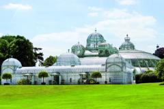 Visite fleurie de Bruxelles, aux Serres Royales de Laeken