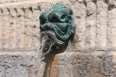 Lyon fontaine au lion