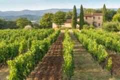 Maison de luxe dans le Luberon en Provence