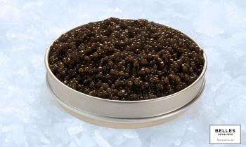Caviar d'Aquitaine : les perles noires de toutes les fêtes