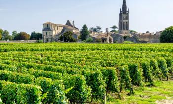 Les vignoble bordelais : une belle opportunité pour les investisseurs ? © Adobe Stock- laraslk