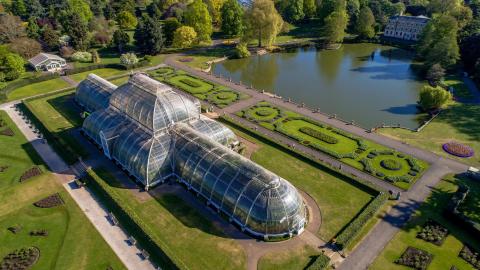 A Londres, dans les serres botaniques royales de Kew Gardens
