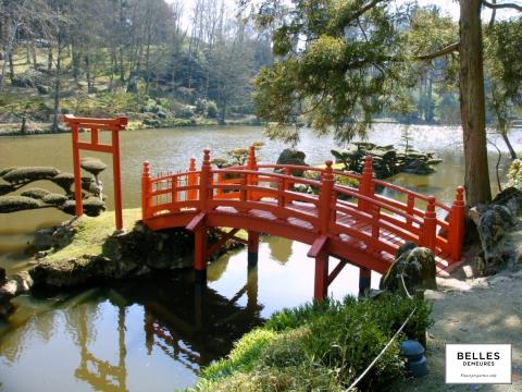 Parc Oriental de Maulévrier, le plus grand jardin japonais d'Europe, en Anjou