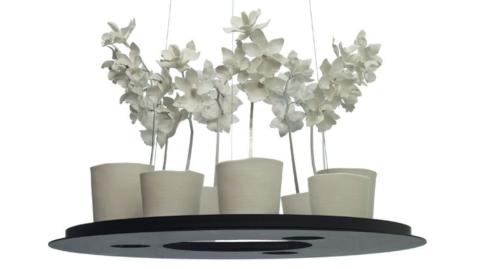 <em>Modifier Article</em> Jeremy Cole, les sculptures lumineuses aux formes de fleurs