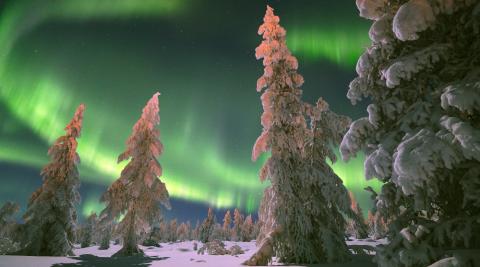 Laponie Finlandaise aurore boréale