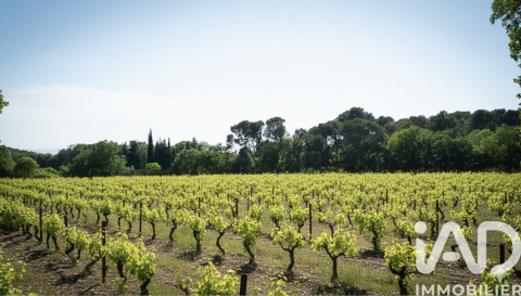 Domaine de luxe à vendre à L'Isle sur la Sorgue  