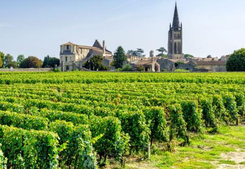 Les vignoble bordelais : une belle opportunité pour les investisseurs ? © Adobe Stock- laraslk