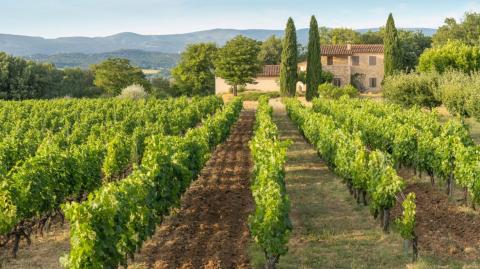 Maison de luxe dans le Luberon en Provence