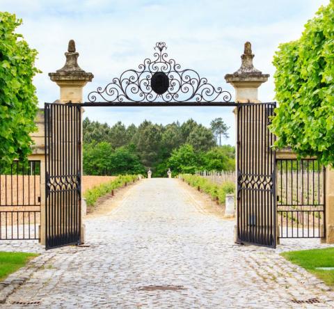 Domaines de luxe à vendre en France