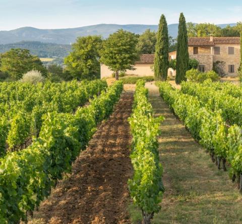 Maison de luxe dans le Luberon en Provence